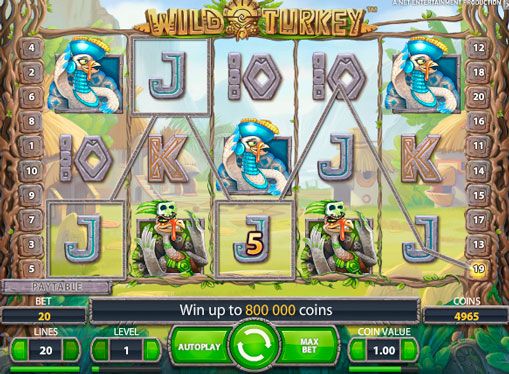 Топ онлайн казино с быстрым выводом денег игровые автоматы novomatic admiral gaminator